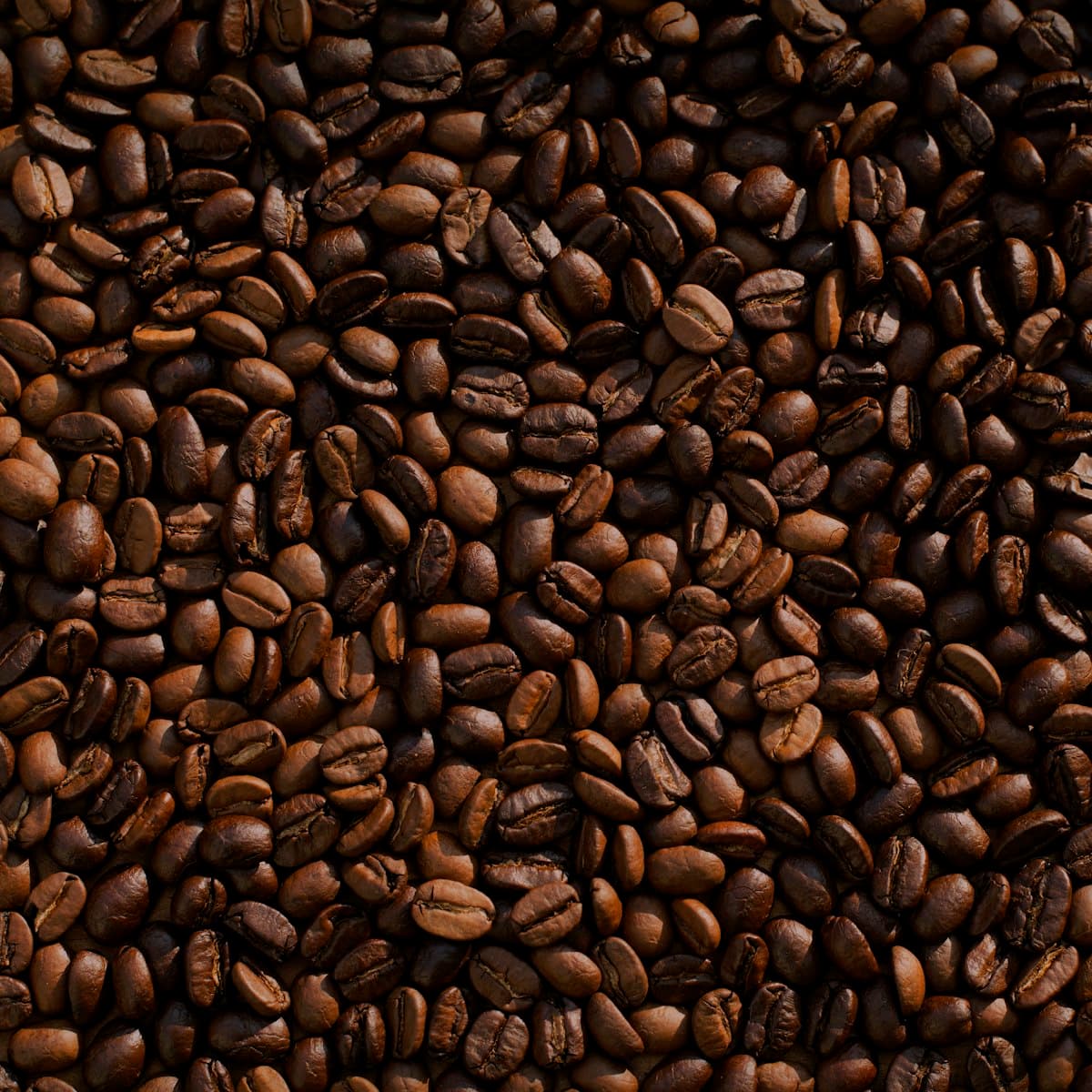 Aceh Gayo Wine Process