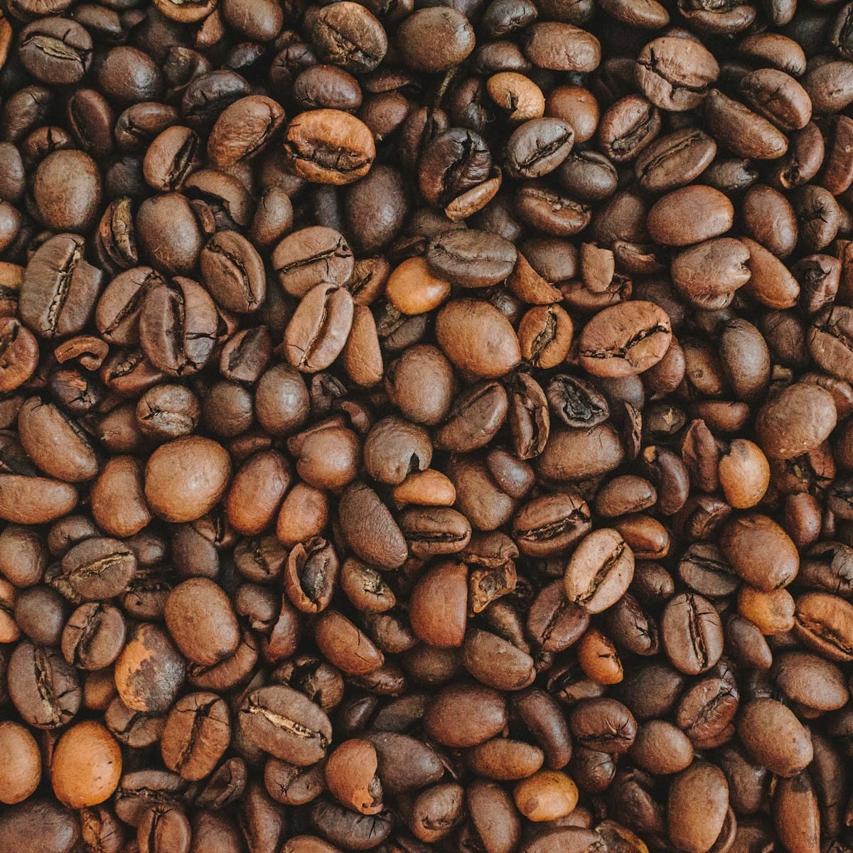 Java Preanger Washed
