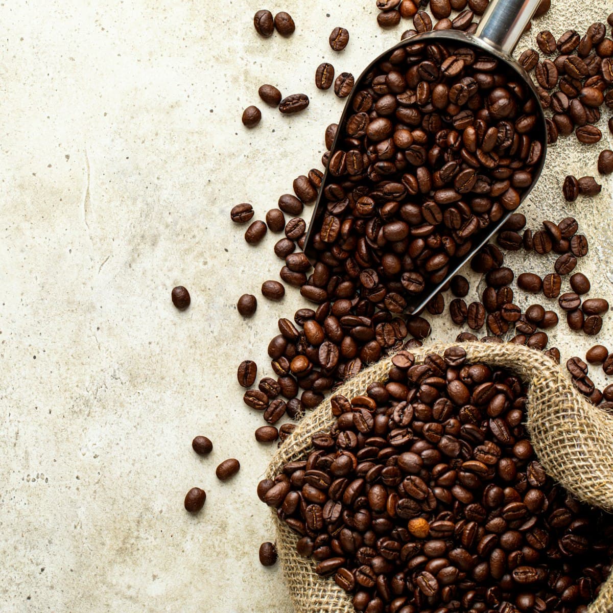 Senja House Blend